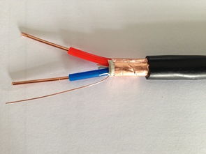 ZR-KVVP2-16×2.5 阻燃控制屏蔽电缆 国标品质，厂价直销的专业之选